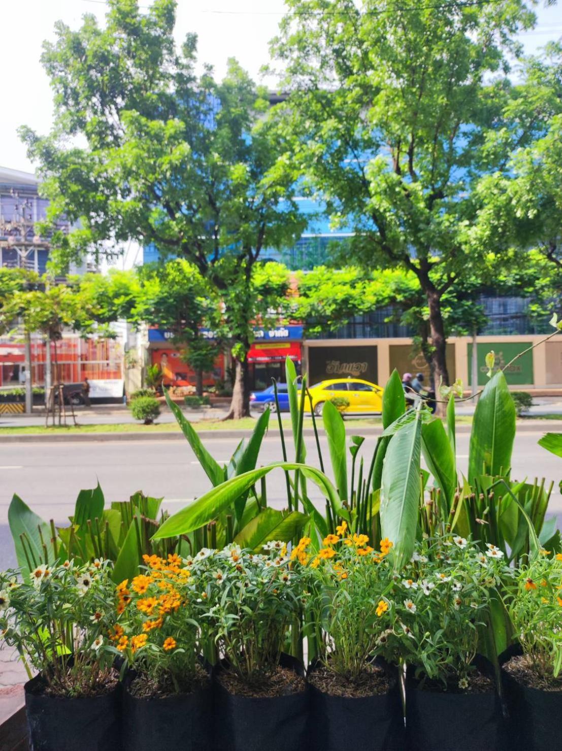 Mstay Bangkok Exteriér fotografie